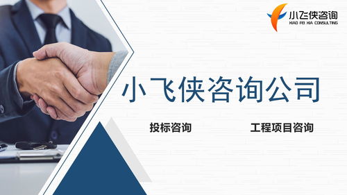 河南小飛俠企業(yè)管理咨詢(xún) 專(zhuān)業(yè)服務(wù)助力企業(yè)高效發(fā)展