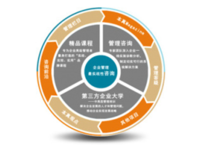 崇明區(qū)企業(yè)管理咨詢(xún)服務(wù)的專(zhuān)業(yè)挑選指南